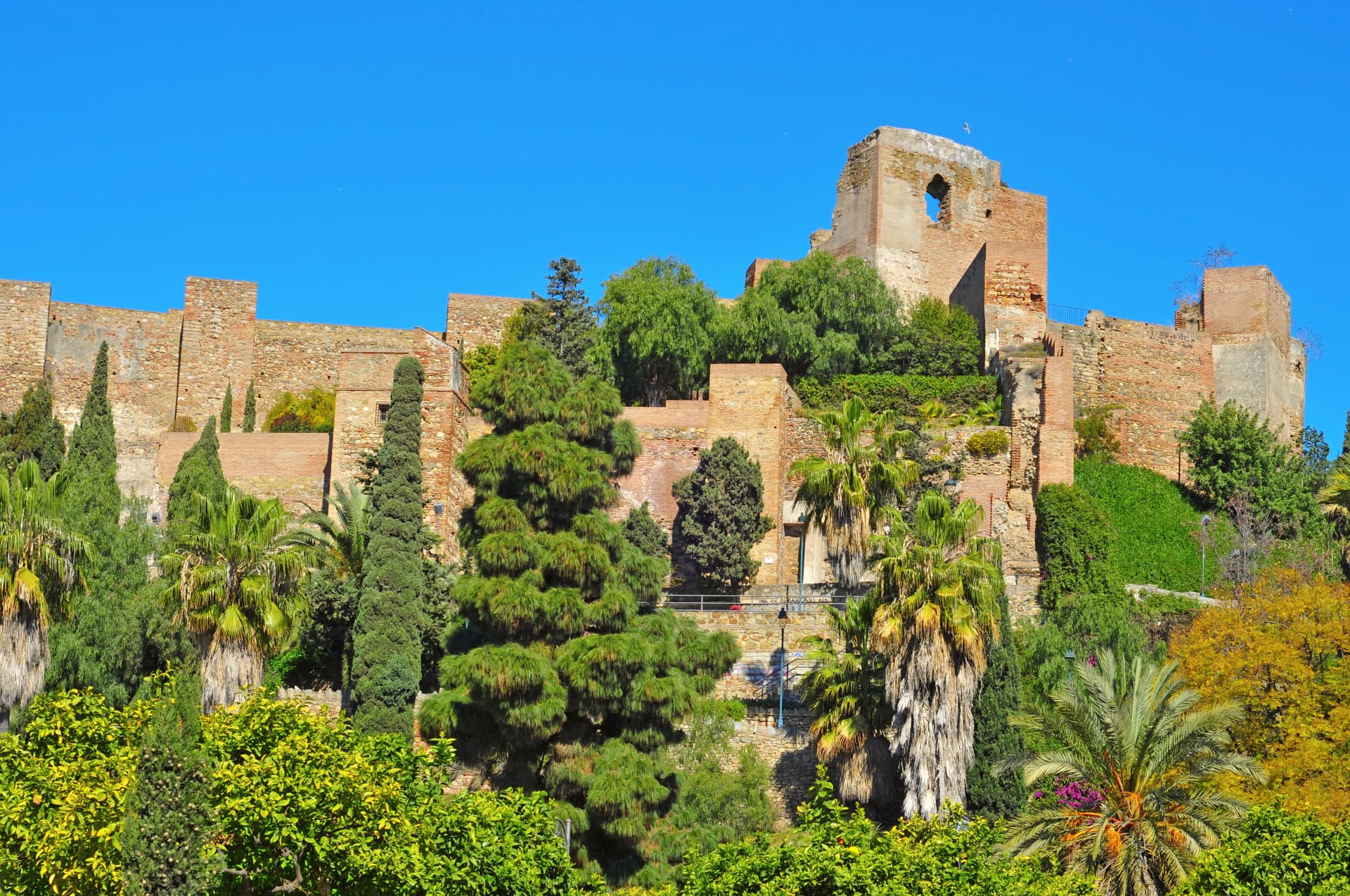 SACABA, ALCAZABA